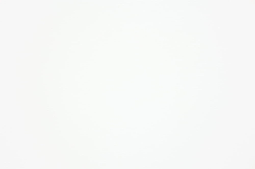 Pure White 2.JPG