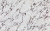 Calacatta Viola.jpg